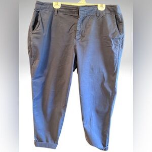 GAP Women's Blue Cropped Pants